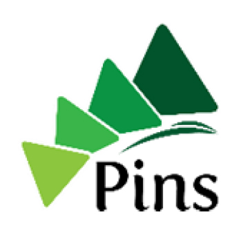 PINS
